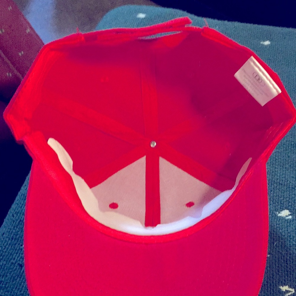 Chicago Dogs hat - Picture 4 of 4